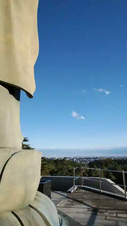 塩船観音寺の景色