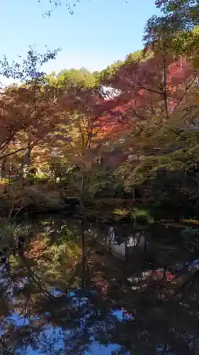 圓光寺(京都府)