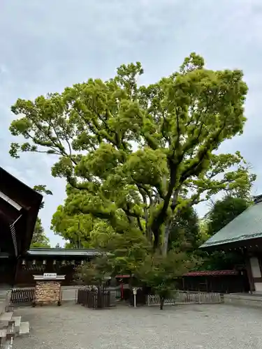 和泉國一之宮　大鳥大社(大阪府)