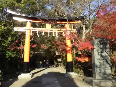 宇治上神社の鳥居