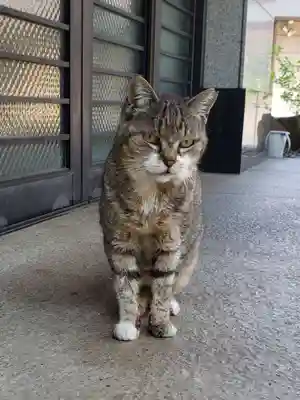 白金氷川神社(東京都)