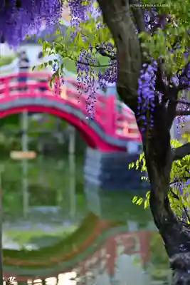 亀戸天神社(東京都)