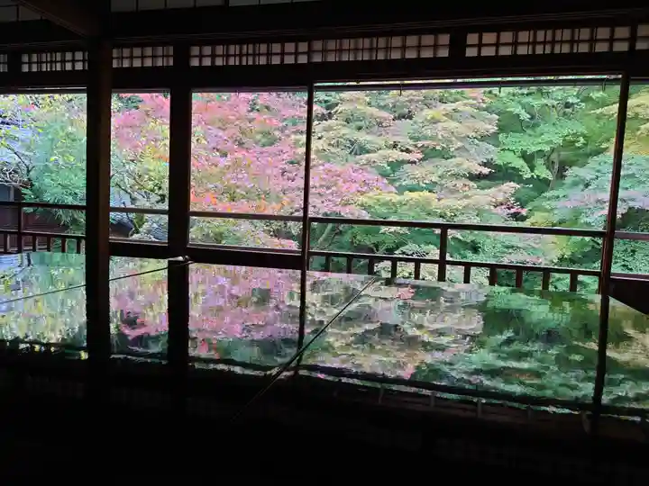 光明寺瑠璃光院(京都府)