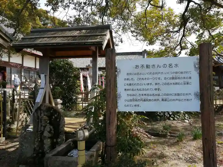 金蓮寺の手水舎