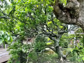 通校神社(神奈川県)