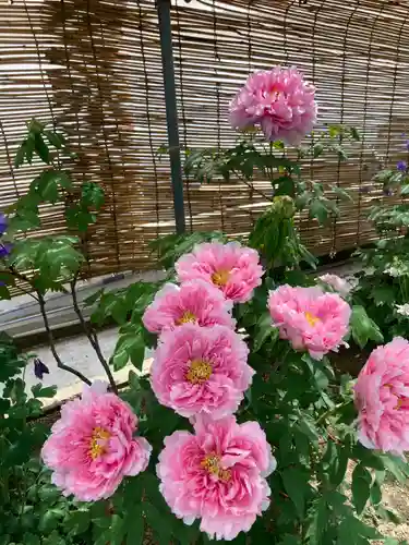 薬師院(兵庫県)