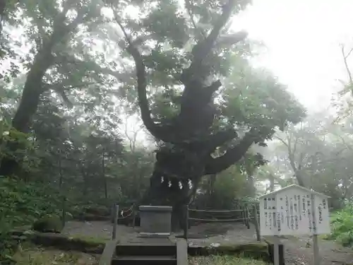 那須温泉神社の自然