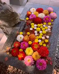 滑川神社 - 仕事と子どもの守り神(福島県)(2022年11月11日(金) 18時45分04秒投稿)