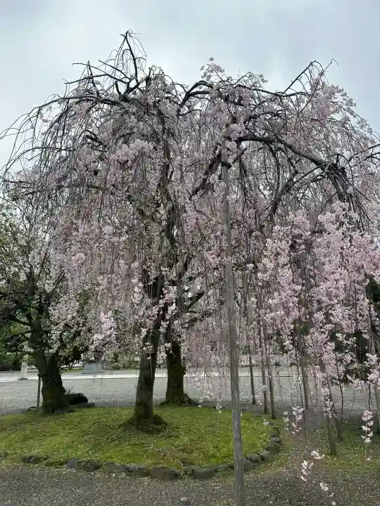 富山縣護國神社の{uncategorized: "未分類", other: "その他", undefined: "問題あり", building: "その他建物", grave: "お墓", sacred_gate: "鳥居", guardian: "狛犬", statue: "像", buddha: "仏像", history: "歴史", nature: "自然", garden: "庭園", animal: "動物", pagoda: "塔", temizu: "手水舎", mountain_gate: "山門・神門", sanctuary: "本殿・本堂", subordinate: "末社・摂社", art: "芸術", scenery: "景色", jizo: "地蔵", ema: "絵馬", goshuin: "御朱印", omikuji: "おみくじ", items: "授与品その他", amulet: "お守り", goshuincho: "御朱印帳", eats: "食事", festival: "お祭り", votive_dance: "神楽", shichigosan: "七五三参", wedding: "結婚式", experience: "体験その他", initially: "初詣", around: "周辺", anti_infection: "感染症対策"}