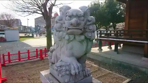 朝日氷川神社の狛犬