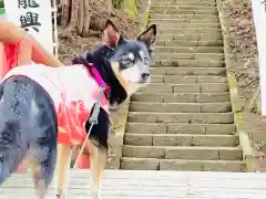 龍興山神社(青森県)