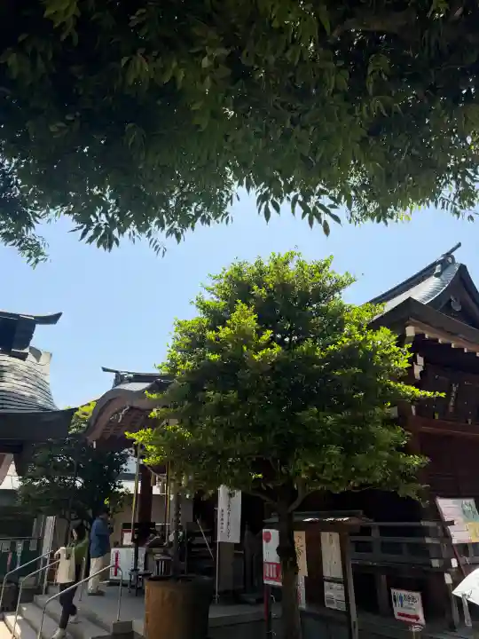 鳩森八幡神社の{uncategorized: "未分類", other: "その他", undefined: "問題あり", building: "その他建物", grave: "お墓", sacred_gate: "鳥居", guardian: "狛犬", statue: "像", buddha: "仏像", history: "歴史", nature: "自然", garden: "庭園", animal: "動物", pagoda: "塔", temizu: "手水舎", mountain_gate: "山門・神門", sanctuary: "本殿・本堂", subordinate: "末社・摂社", art: "芸術", scenery: "景色", jizo: "地蔵", ema: "絵馬", goshuin: "御朱印", omikuji: "おみくじ", items: "授与品その他", amulet: "お守り", goshuincho: "御朱印帳", eats: "食事", festival: "お祭り", votive_dance: "神楽", shichigosan: "七五三参", wedding: "結婚式", experience: "体験その他", initially: "初詣", around: "周辺", anti_infection: "感染症対策"}