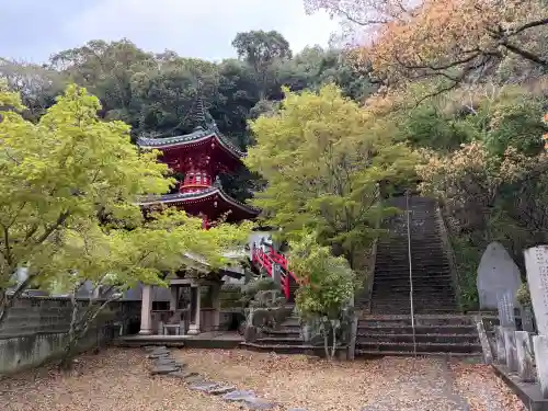 金泉寺の{uncategorized: "未分類", other: "その他", undefined: "問題あり", building: "その他建物", grave: "お墓", sacred_gate: "鳥居", guardian: "狛犬", statue: "像", buddha: "仏像", history: "歴史", nature: "自然", garden: "庭園", animal: "動物", pagoda: "塔", temizu: "手水舎", mountain_gate: "山門・神門", sanctuary: "本殿・本堂", subordinate: "末社・摂社", art: "芸術", scenery: "景色", jizo: "地蔵", ema: "絵馬", goshuin: "御朱印", omikuji: "おみくじ", items: "授与品その他", amulet: "お守り", goshuincho: "御朱印帳", eats: "食事", festival: "お祭り", votive_dance: "神楽", shichigosan: "七五三参", wedding: "結婚式", experience: "体験その他", initially: "初詣", around: "周辺", anti_infection: "感染症対策"}