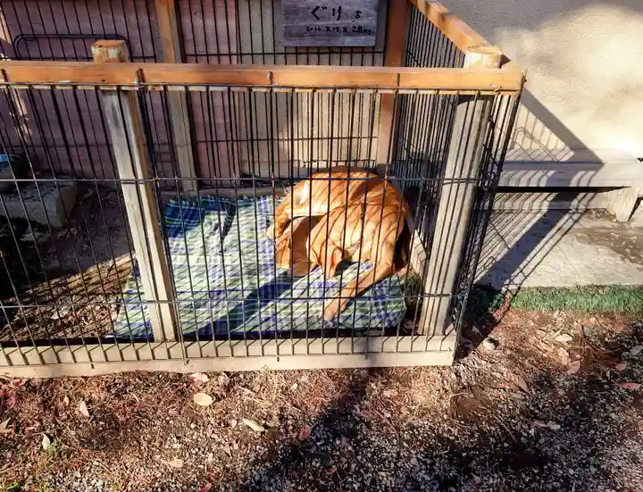 比呂佐和神社(群馬県)