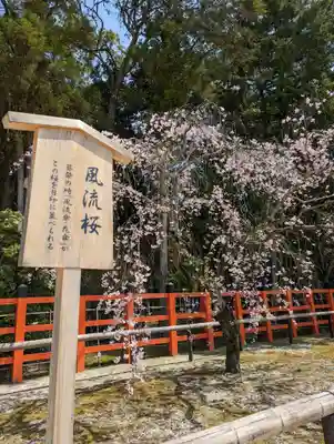 賀茂別雷神社（上賀茂神社）(京都府)