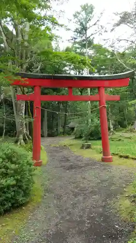 胎内神社の鳥居