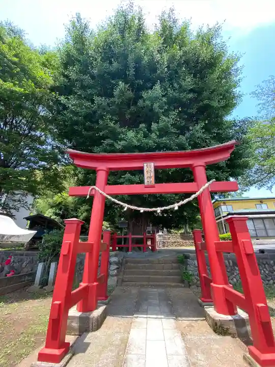 東中野熊野神社の鳥居