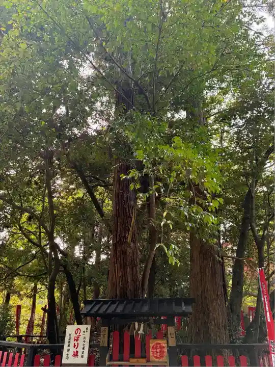 観心寺(大阪府)