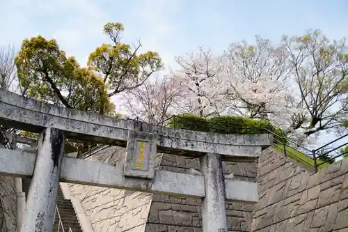 日吉神社の鳥居