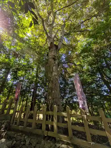 出雲大神宮(京都府)