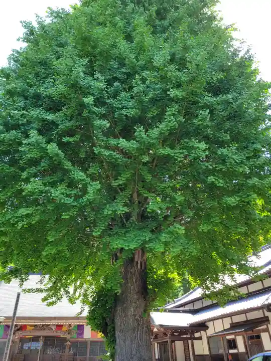 弘誓寺(兵庫県)