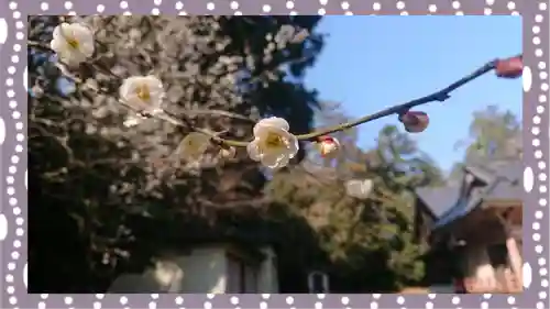 千代ケ岡八幡宮(栃木県)