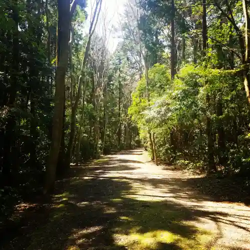 鹿島神宮の自然