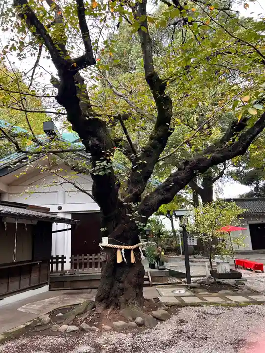 駒込天祖神社(東京都)