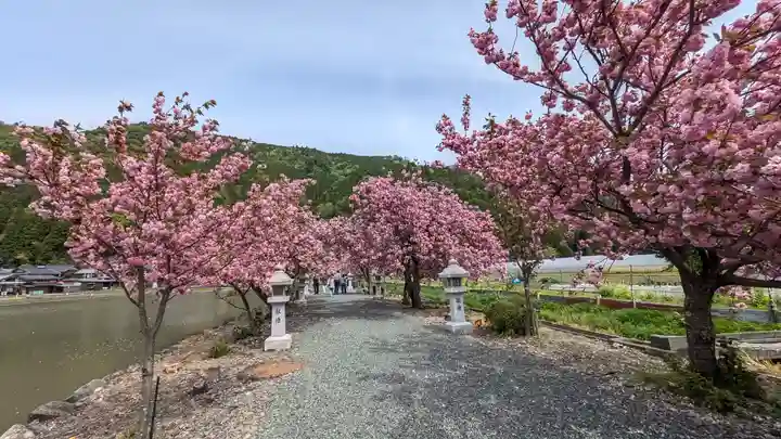 伊香具神社(滋賀県)