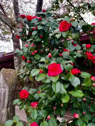 竹駒神社の{uncategorized: "未分類", other: "その他", undefined: "問題あり", building: "その他建物", grave: "お墓", sacred_gate: "鳥居", guardian: "狛犬", statue: "像", buddha: "仏像", history: "歴史", nature: "自然", garden: "庭園", animal: "動物", pagoda: "塔", temizu: "手水舎", mountain_gate: "山門・神門", sanctuary: "本殿・本堂", subordinate: "末社・摂社", art: "芸術", scenery: "景色", jizo: "地蔵", ema: "絵馬", goshuin: "御朱印", omikuji: "おみくじ", items: "授与品その他", amulet: "お守り", goshuincho: "御朱印帳", eats: "食事", festival: "お祭り", votive_dance: "神楽", shichigosan: "七五三参", wedding: "結婚式", experience: "体験その他", initially: "初詣", around: "周辺", anti_infection: "感染症対策"}