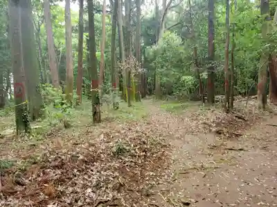 白幡神社の周辺