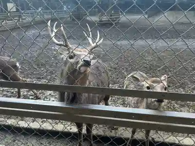 奥宮(鹿島神宮摂社)(茨城県)