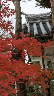 法金剛院(京都府)