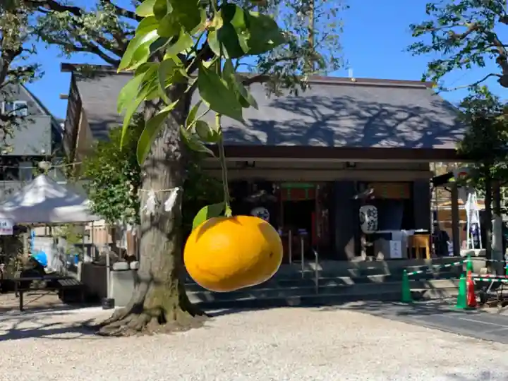 蛇窪神社の自然