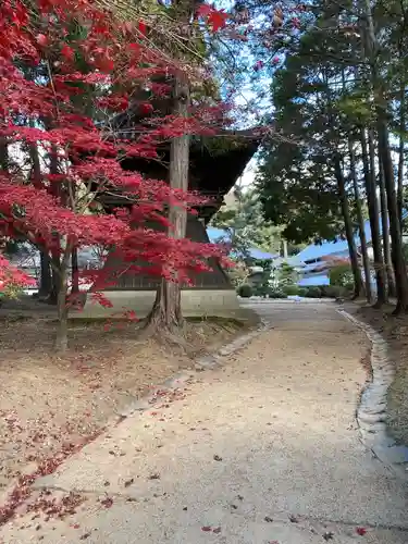曹源寺(岡山県)