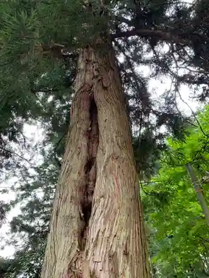 日枝神社(栃木県)