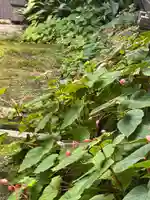 国上寺(新潟県)