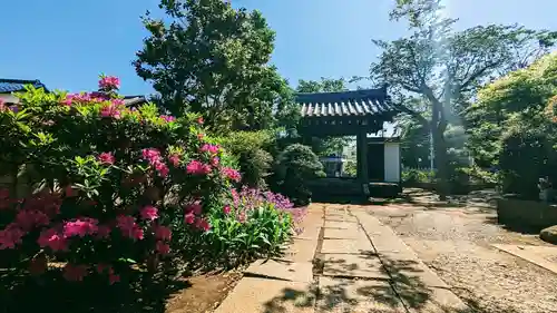 醫王山神宮寺の自然