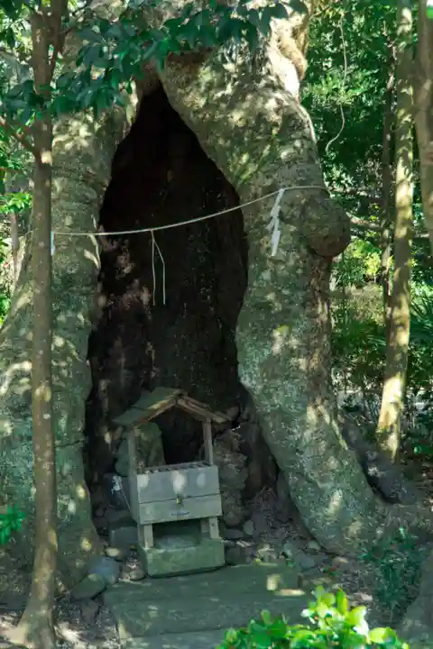 石見国一宮 物部神社(島根県)