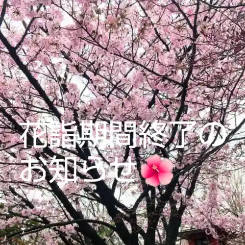 彌彦神社　(伊夜日子神社)の体験その他