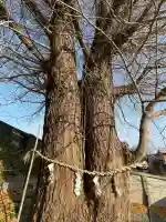 堤治神社(愛知県)