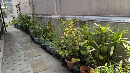 長崎大神宮の庭園