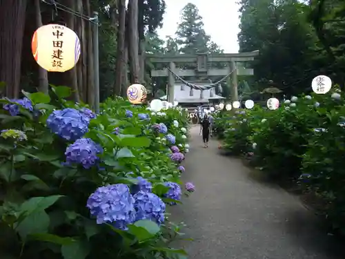 磯山神社の鳥居