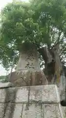 五宮神社の建物その他