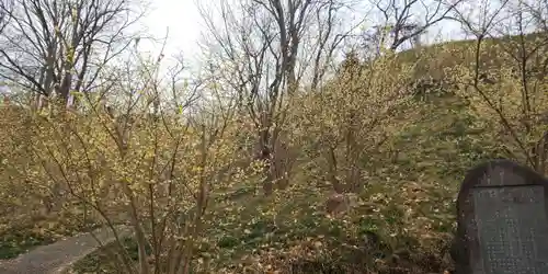 たばこ神社の景色