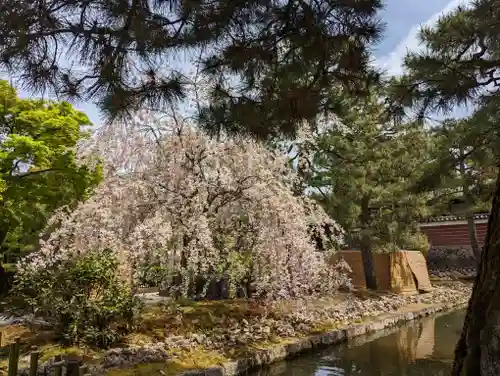 建仁寺（建仁禅寺）(京都府)