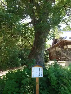 長福寺(愛知県)