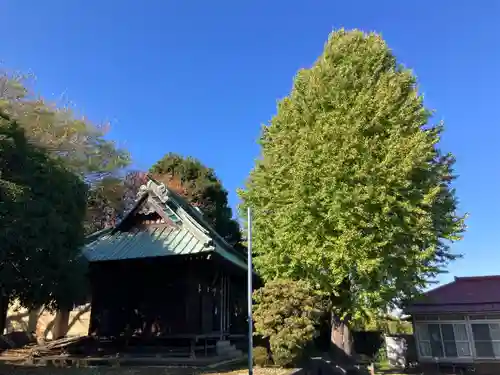 八幡神社(神奈川県)