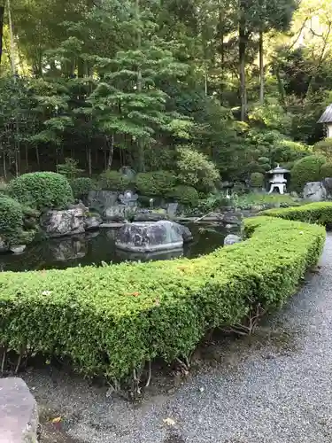 泉龍院の庭園