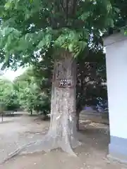 諏訪神社の建物その他